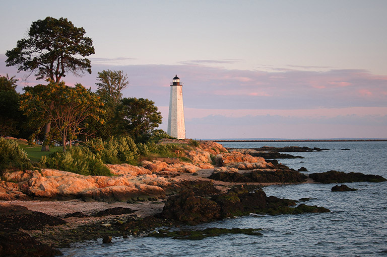 Things to Do in New Haven Cambria Hotel New Haven University Area