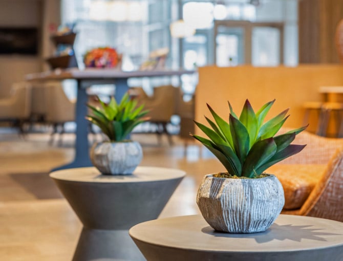 New Haven Hotels Cambria Hotel New Haven University Area